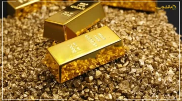 تطورات اللحظة.. سعر سبيكة الذهب btc اليوم في سوق الصاغة آخر تحديث للبيع والشراء يكشف عن مفاجأة 1